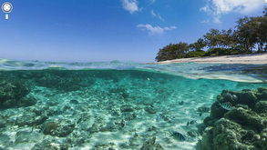 谷歌海景 满足你对海底世界的好奇心